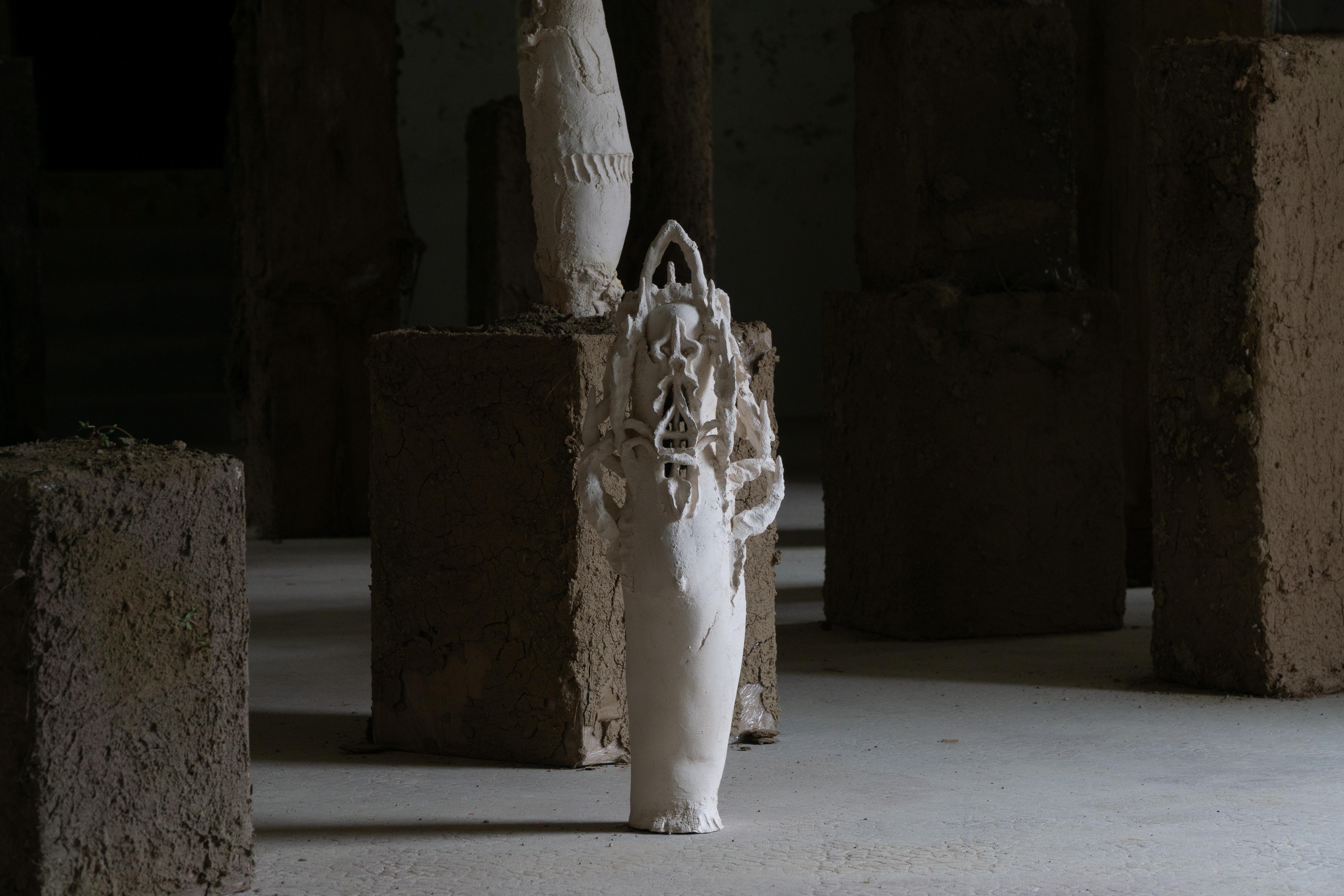 Hortus Conclusus, 2023. Installation view, Priory of Saint-Benoît-du-Sault, FR. Photo © Margot Anquez Bariseau